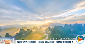 �ƴ��������������������֣�����������������������ڷ�